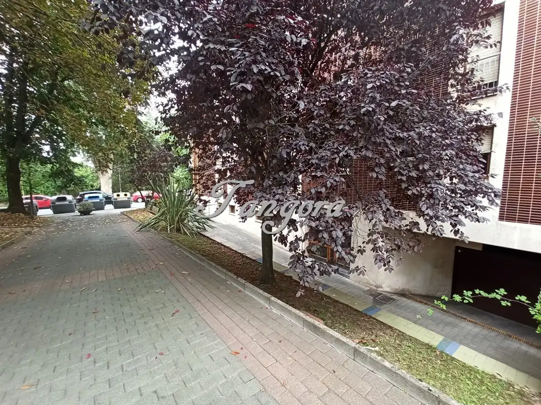 Außenansicht von Garage zur Miete in Getxo 