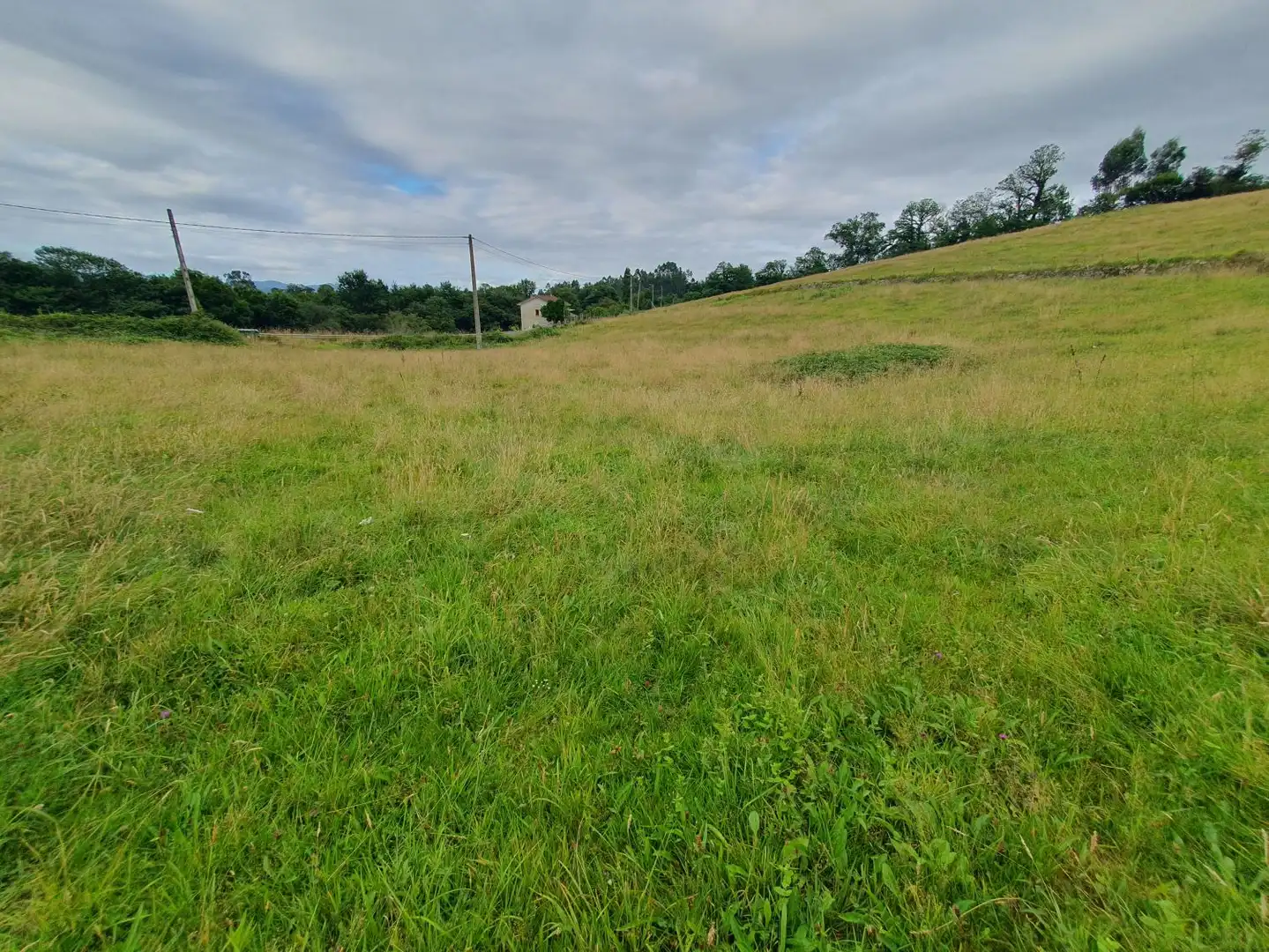 Residential land for sale in Grado, imagen 13