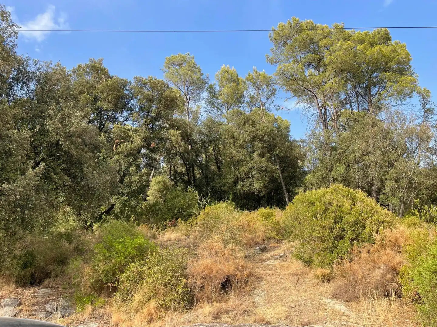 Terreny residencial en venda a Sant Martí de Llémena, imagen 2