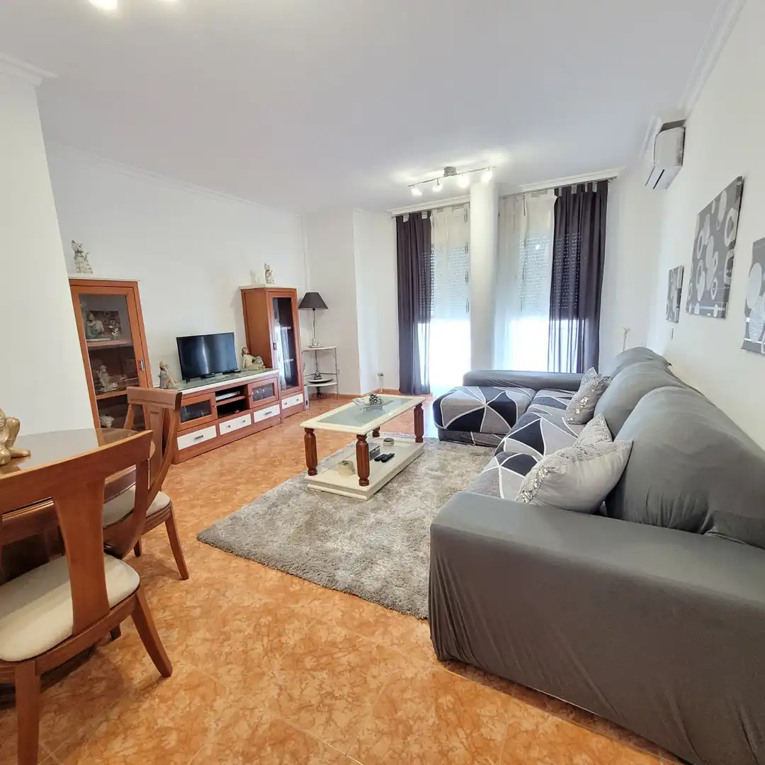 Living room of Houses for sale in Roquetas de Mar  with Air Conditioner, Terrace and Storage room