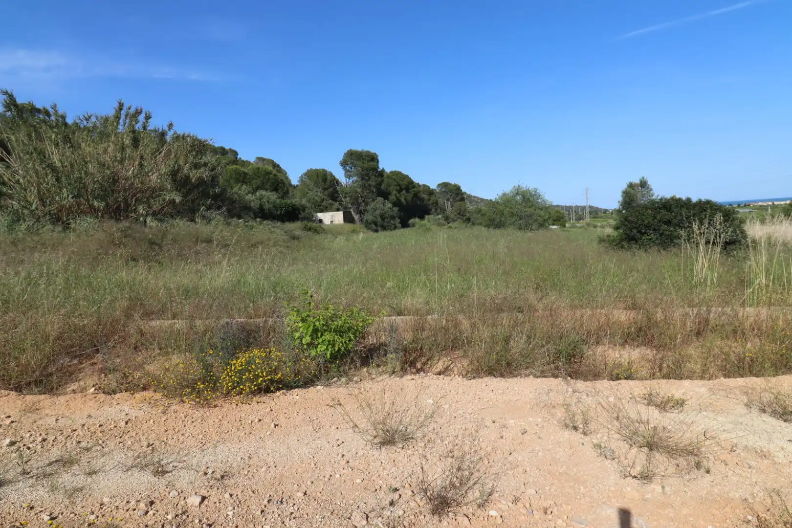 Terreno rústico en venta en Alcanar, imagen 10