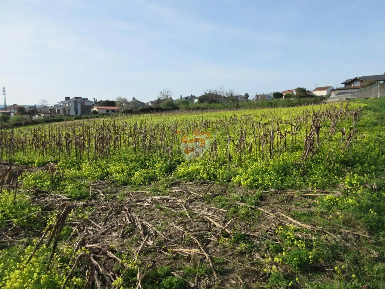 Terreni e lotti in vendita a A Gándara, imagen 6