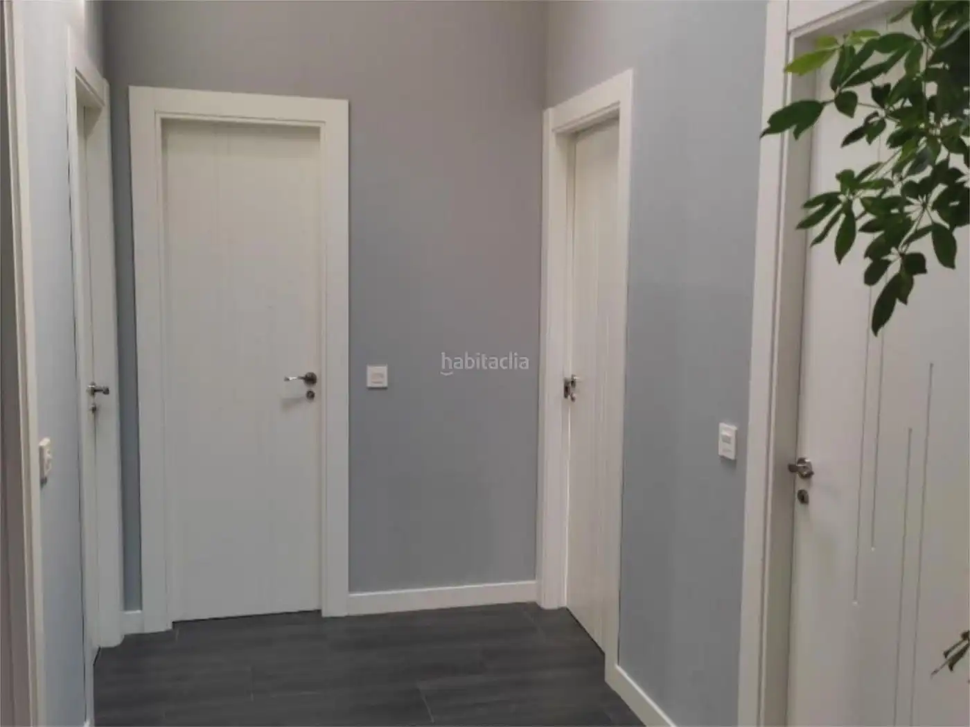 Casa in vendita a Calle Avellano 9, imagen 9
