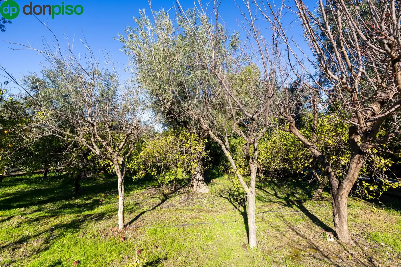Villa avec terrasse à vendre à Calle del Nacimiento, imagen 57