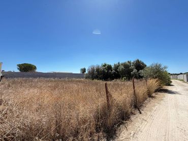 Terreny rústic en venda a Las Lagunas - Campano
