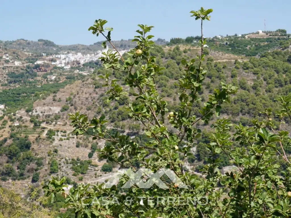 Casa amb jardí en venda a Yunquera, imagen 14