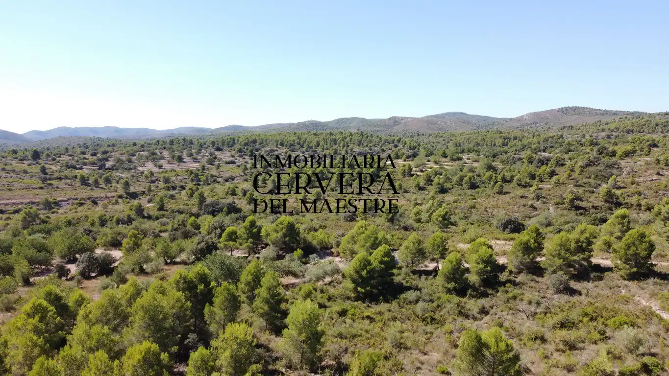 Terreno rustico in vendita a Cervera del Maestre, imagen 15
