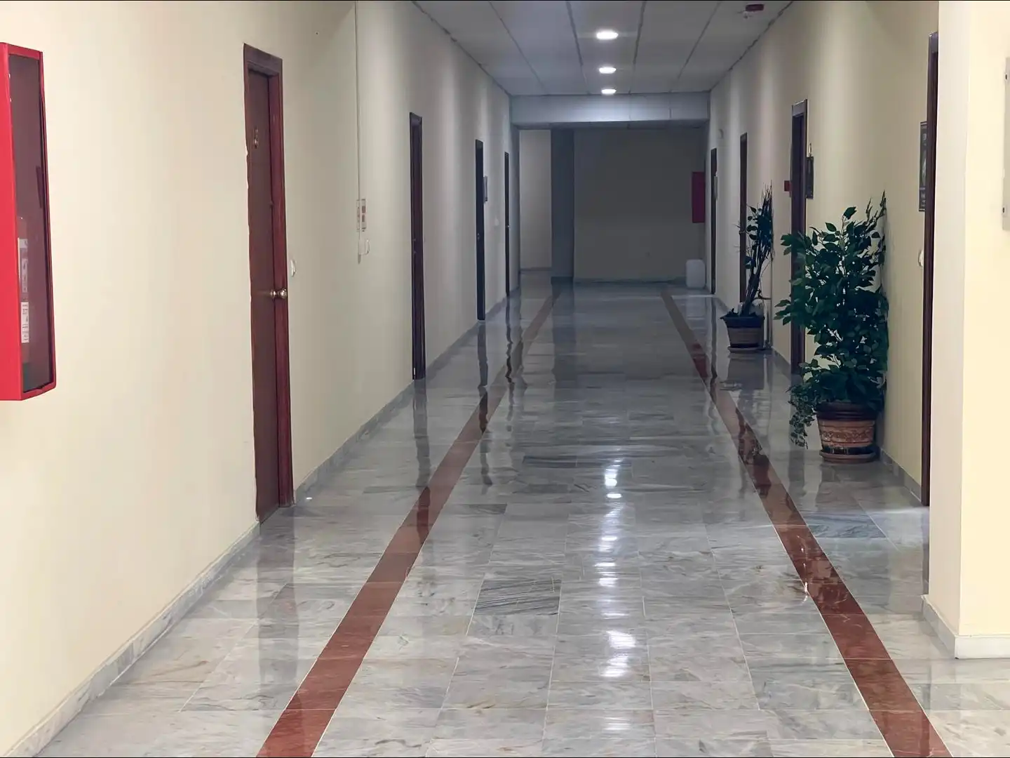 Local en venta en Mairena del Aljarafe