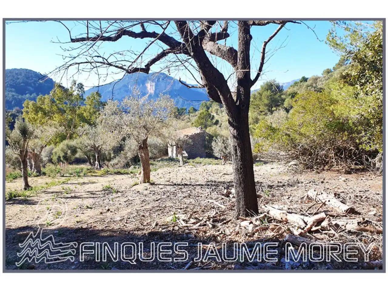 Finca rústica en venta en Mancor de la Vall con Jardín privado y Terraza