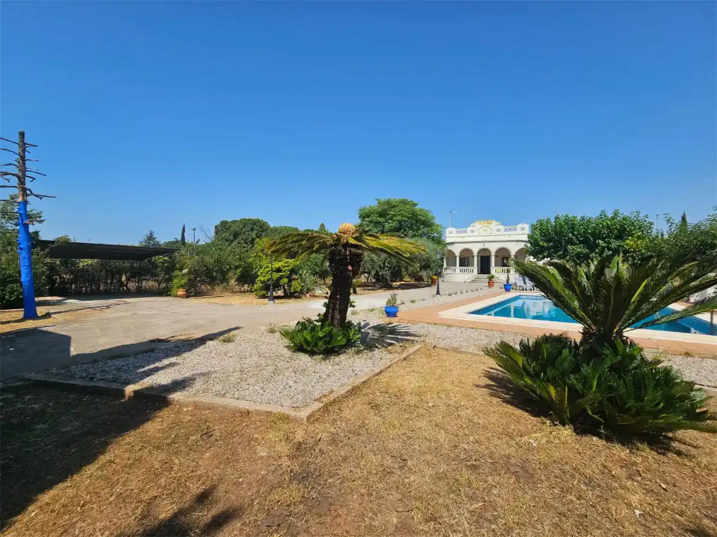 Jardí de Casa o xalet de lloguer en Vila-real amb Jardí privat, Traster i Piscina