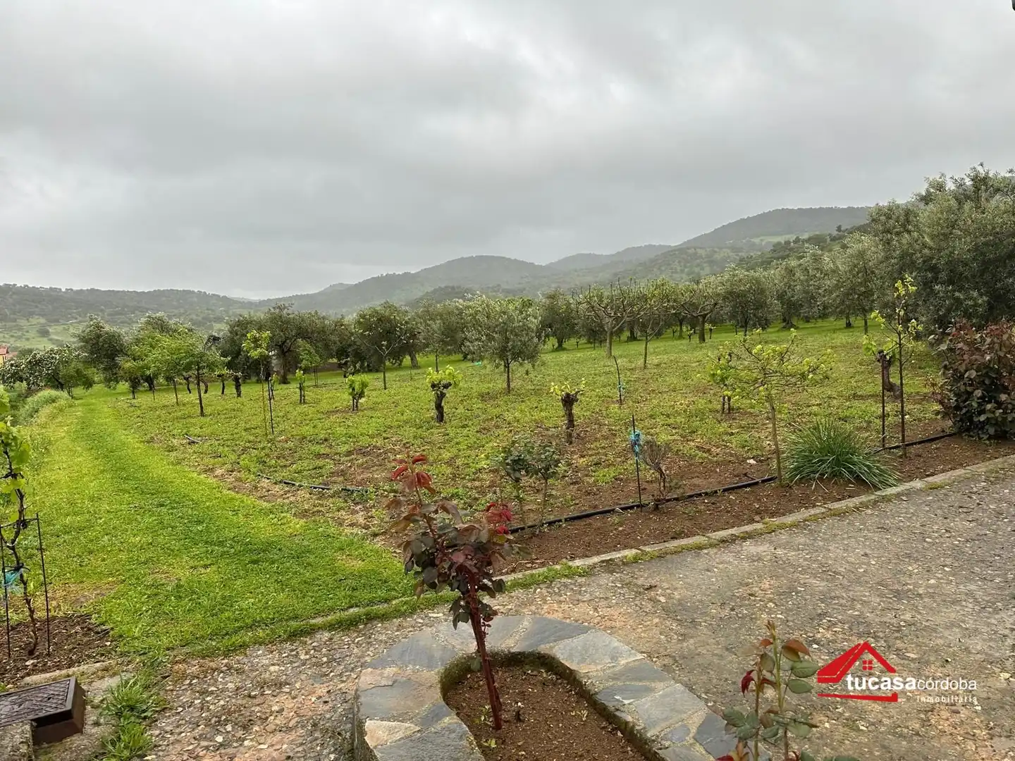 Terreno rustico in vendita a Villanueva del Rey, imagen 44