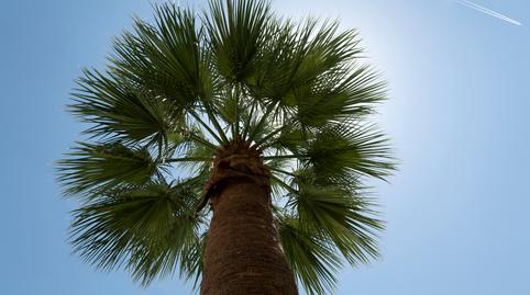 Foto 2 de Piso en venta en Calle de Cataluña, Renfe - Bulevar 1ª y 2ª Fase, Jaén