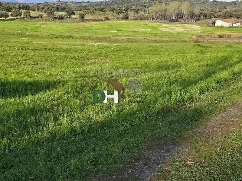 Terreni e lotti in vendita a Aguas Vivas - La Zambomba, imagen 3