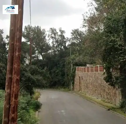 Chalet con jardín en venta en Avenida ARBRES, DELS, imagen 2