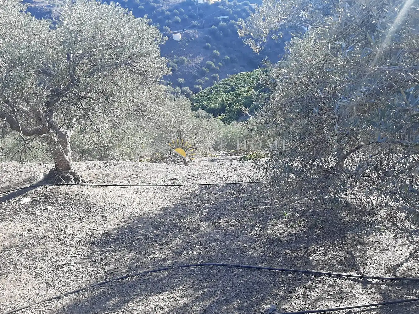 Terreni e lotti in vendita a Torrox Pueblo, imagen 13