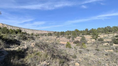 Foto 5 de Terreno en venta en Polígono 57 Parcela 58, Sax, Alicante