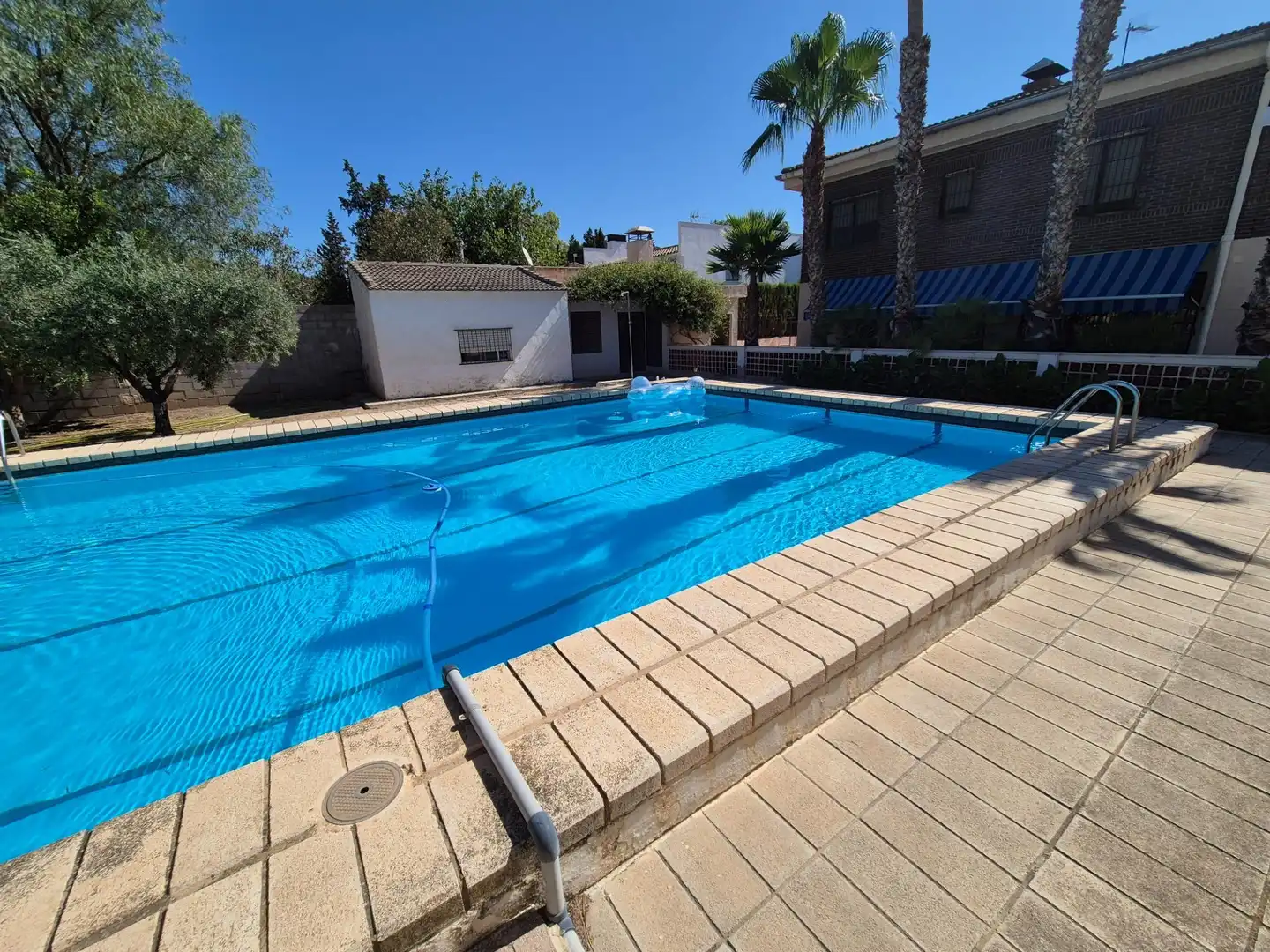 Piscina de Casa o xalet en venda en Elda amb Jardí privat, Terrassa i Traster