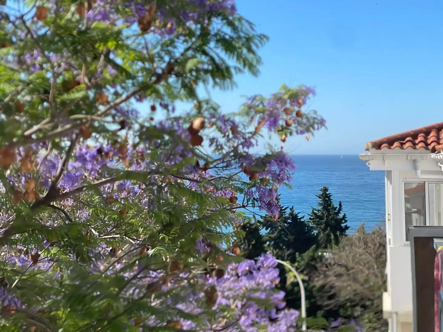 Vista exterior de Apartament en venda en Estepona amb Aire condicionat i Terrassa