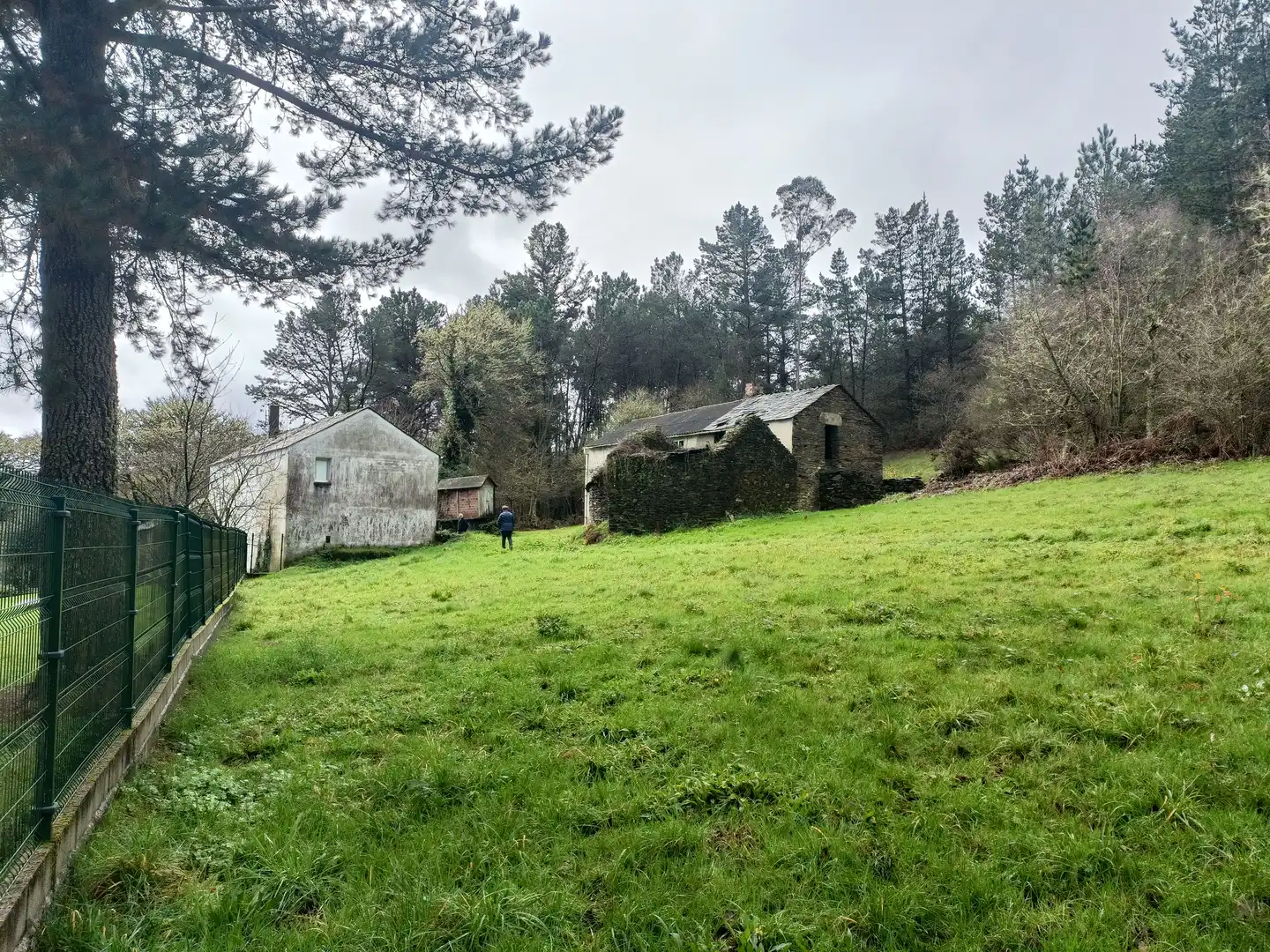 Vista exterior de Casa o xalet en venda en Guitiriz amb Jardí privat