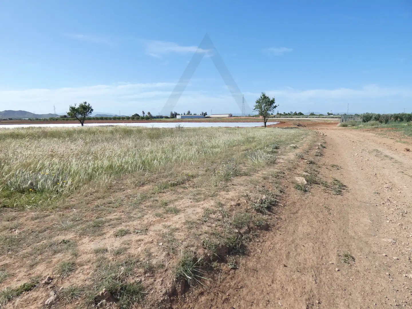 Terreni e lotti in vendita a Pedanías Oeste, imagen 14