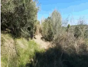 Terreny rústic en venda a Barxeta, imagen 2