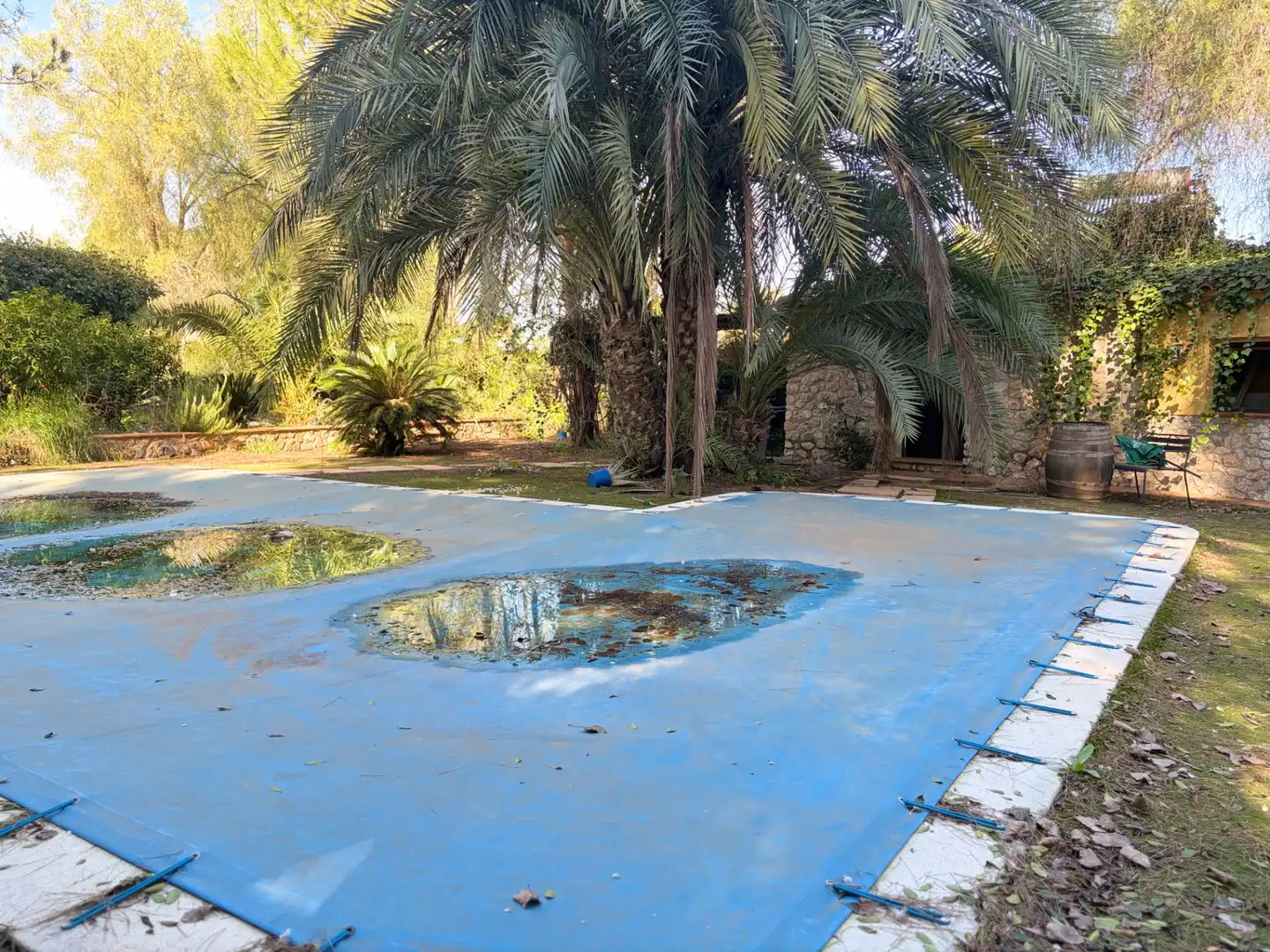 Lands and plots for sale in Abanilla, imagen 19