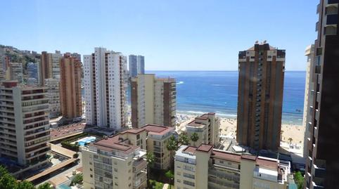 Photo 3 of Study for sale in Del Mediterráneo, Playa Levante, Alicante