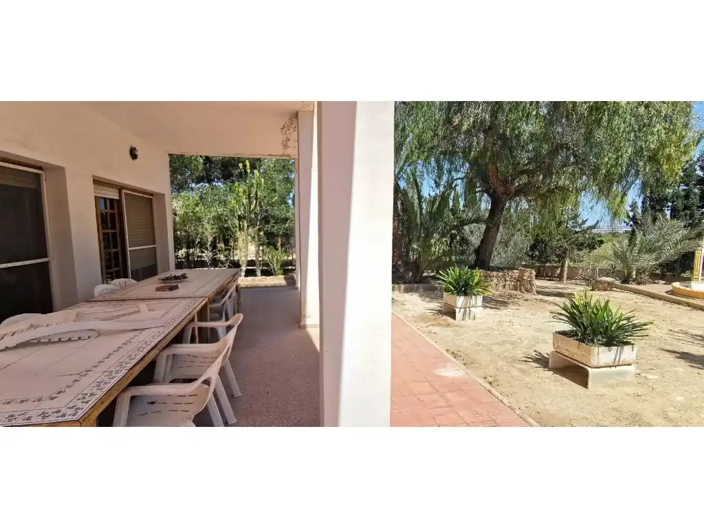 Jardí de Casa o xalet en venda en Elche / Elx amb Jardí privat, Terrassa i Piscina