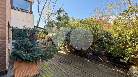 Foto 3 de Planta baixa en venda a Zona Monte El Pilar, Majadahonda