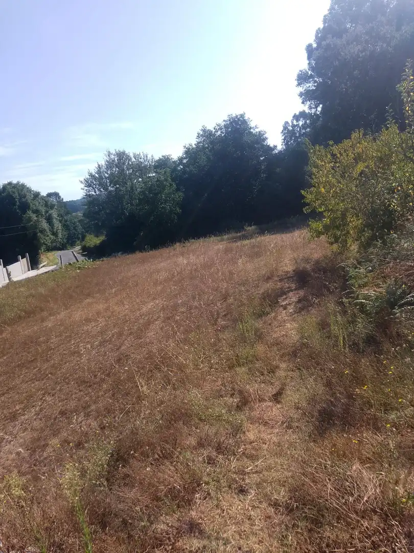 Grundstücke und Bauplätze zum Verkauf in Meis, imagen 13