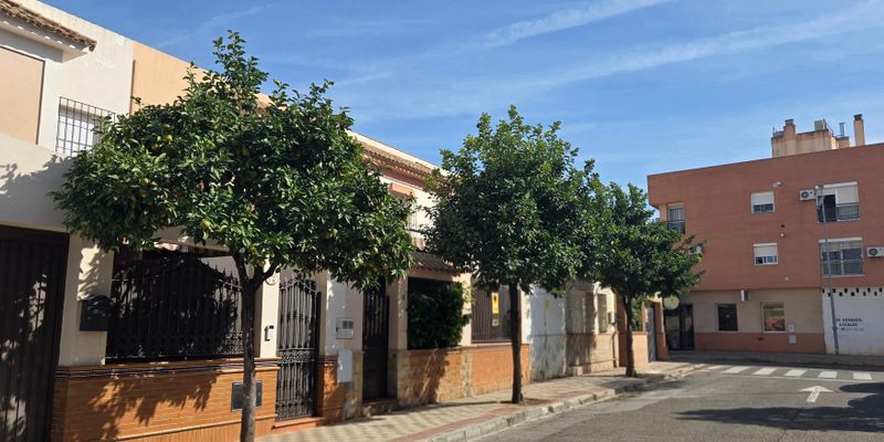 Exterior view of Single-family semi-detached for sale in Dos Hermanas  with Terrace and Furnished