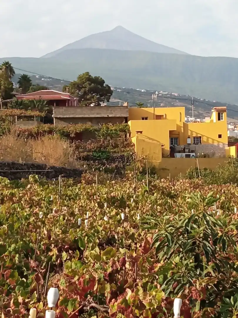 Terreno rustico in vendita a Las Cuevas - Los Gómez, imagen 37