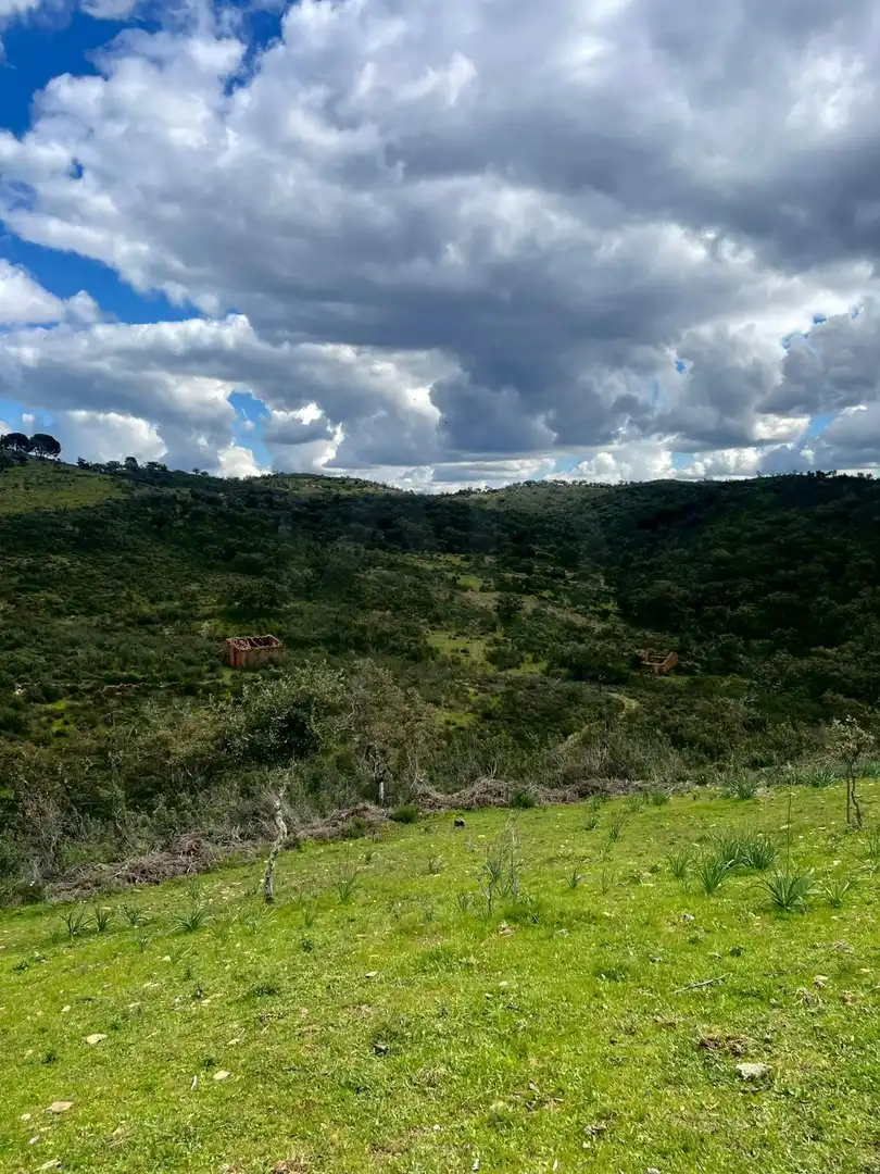 Terreno en venta en Berrocal