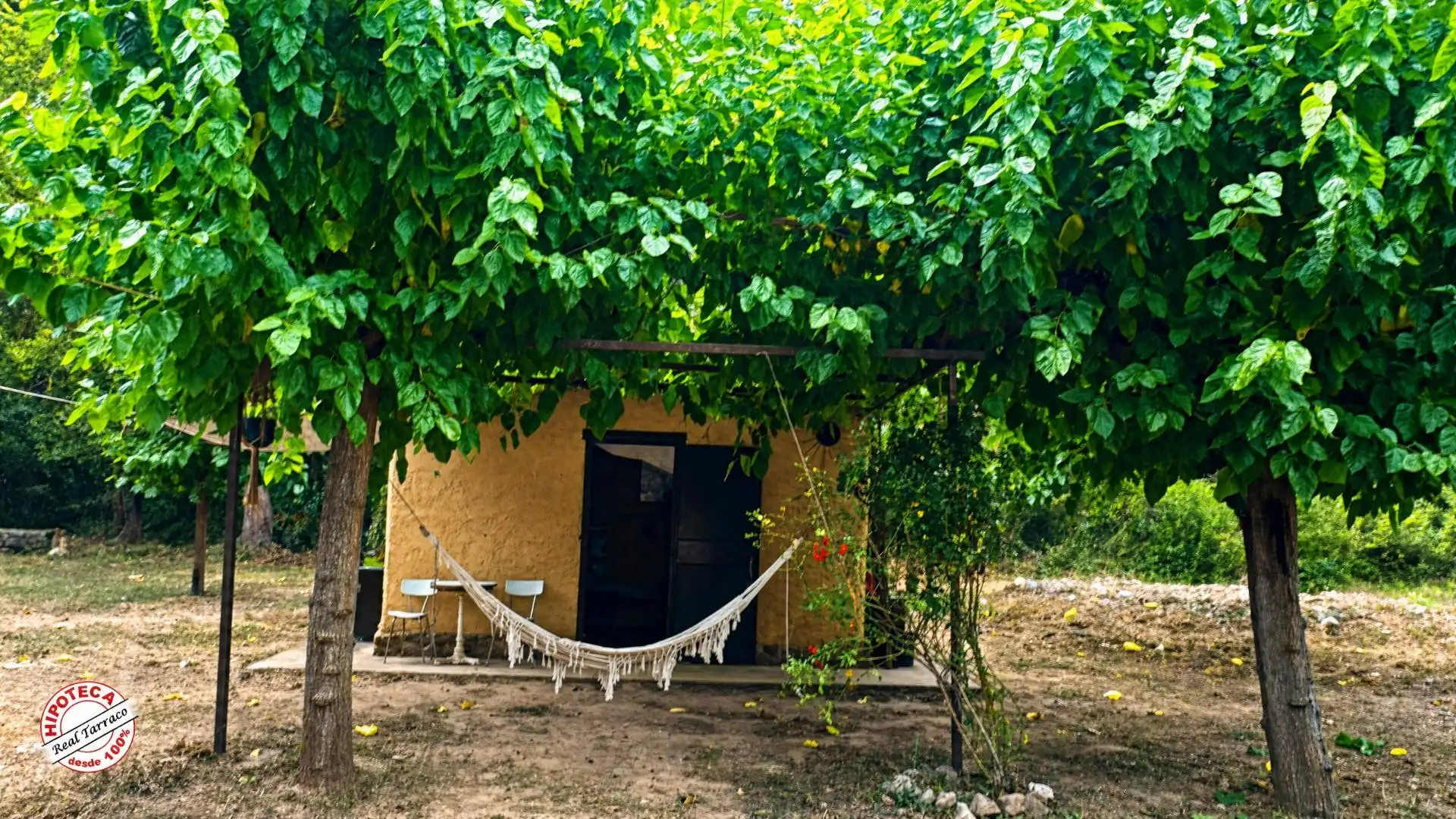 Terreno rústico en venta en Mont-ral, imagen 6