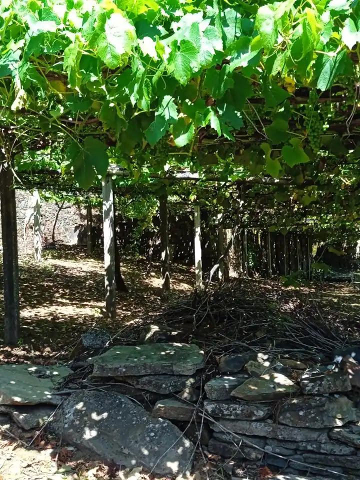 Finca rústica en venda en Santiago de Compostela 