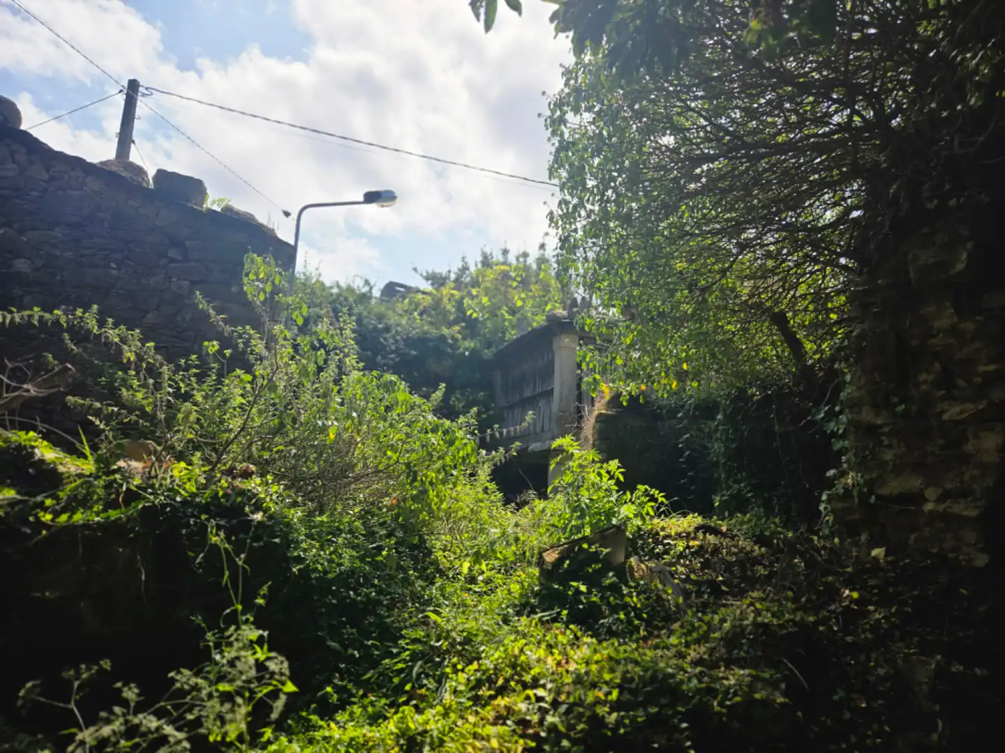 Vista exterior de Finca rústica en venta en Viveiro con Jardín privado y Trastero