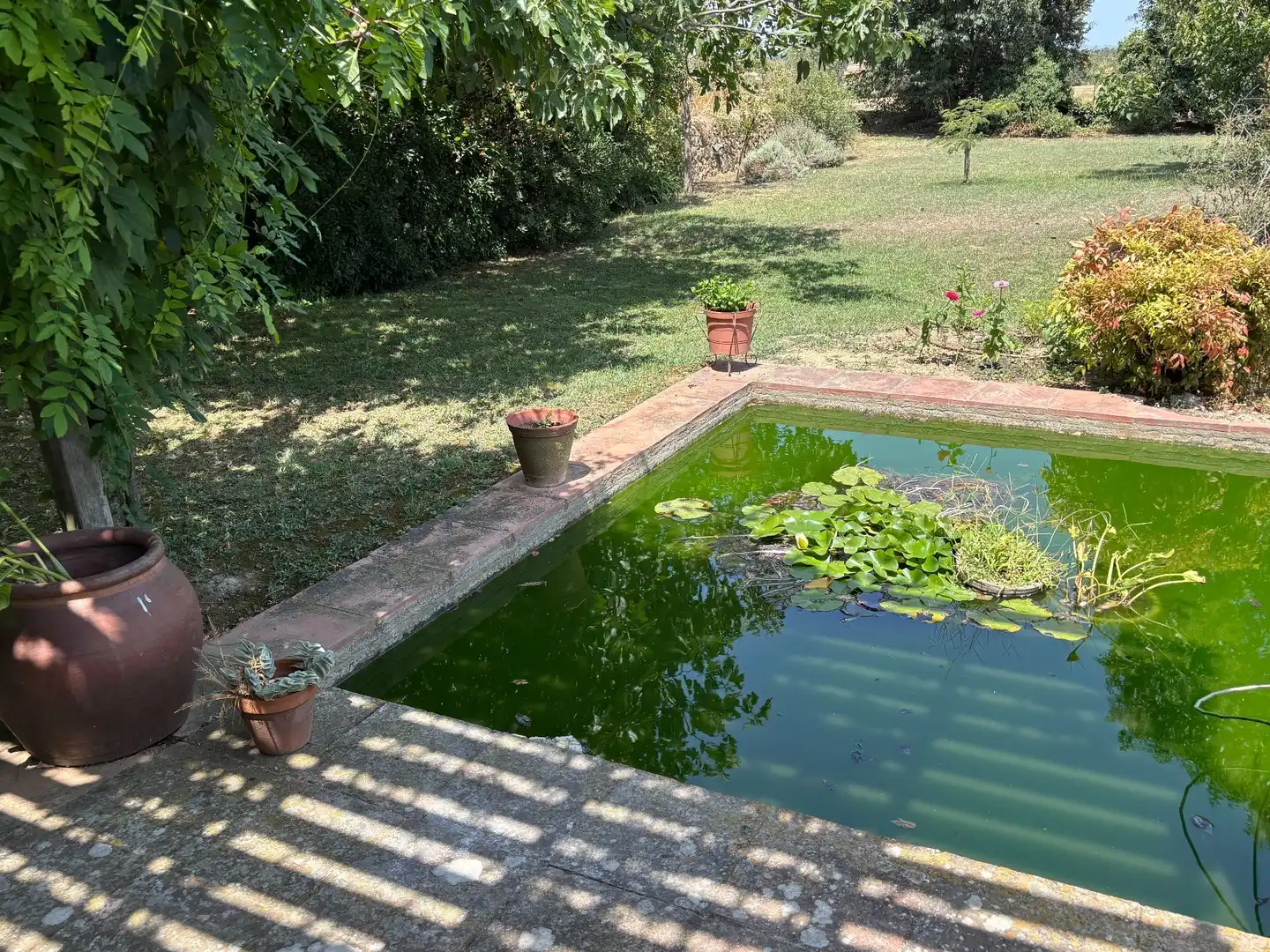 Swimming pool of Country homes for sale in Corçà  with Heating, Private garden and Terrace