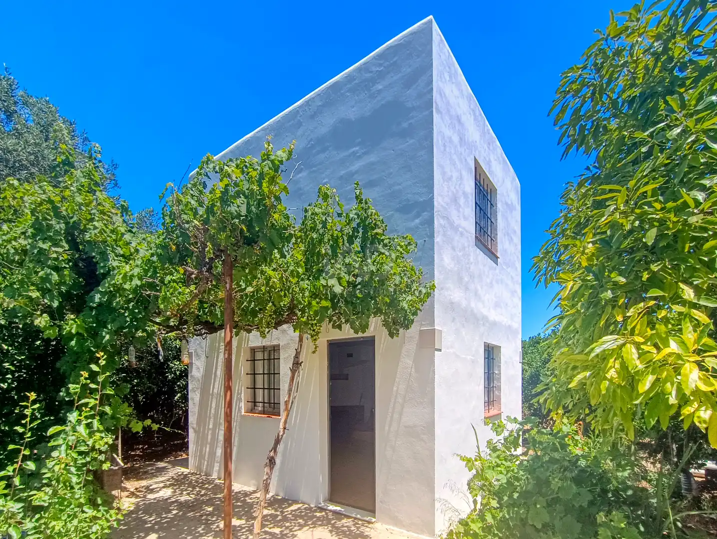 Vista exterior de Casa o chalet en venta en Albalat de la Ribera con Calefacción y Terraza