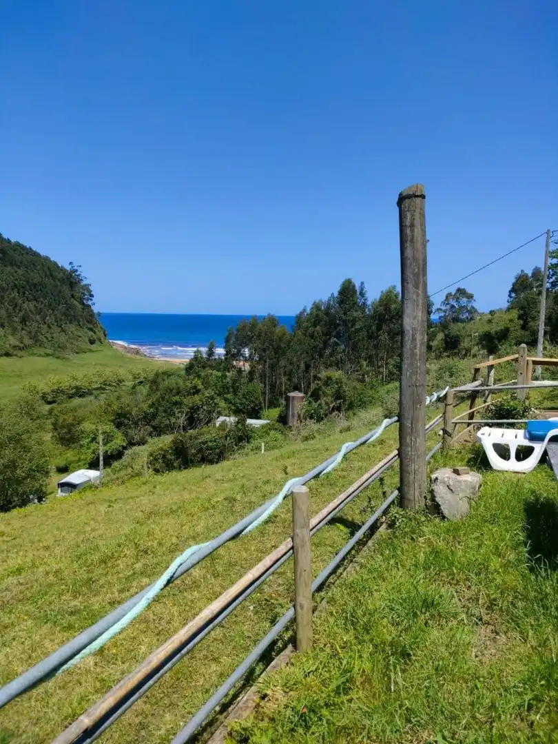 Vista exterior de Finca rústica en venta en Villaviciosa