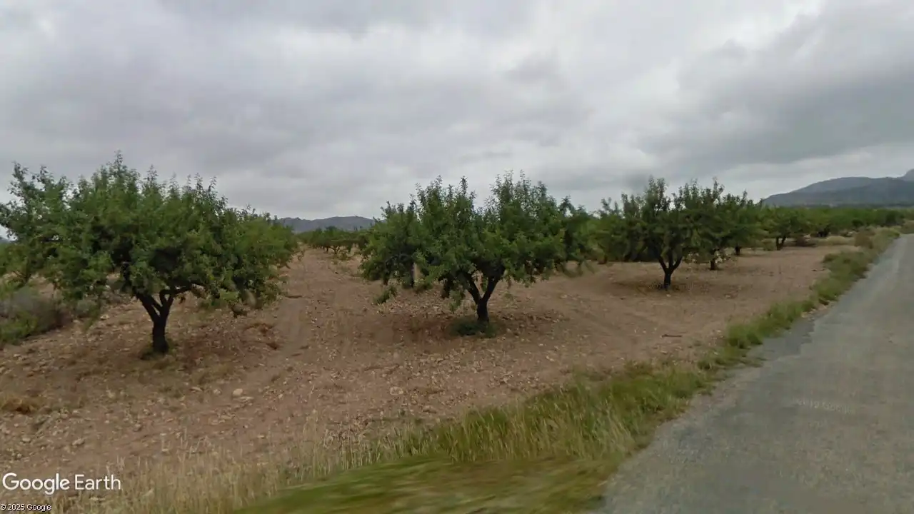 Terreno rustico in vendita a Campo de Murcia, imagen 2