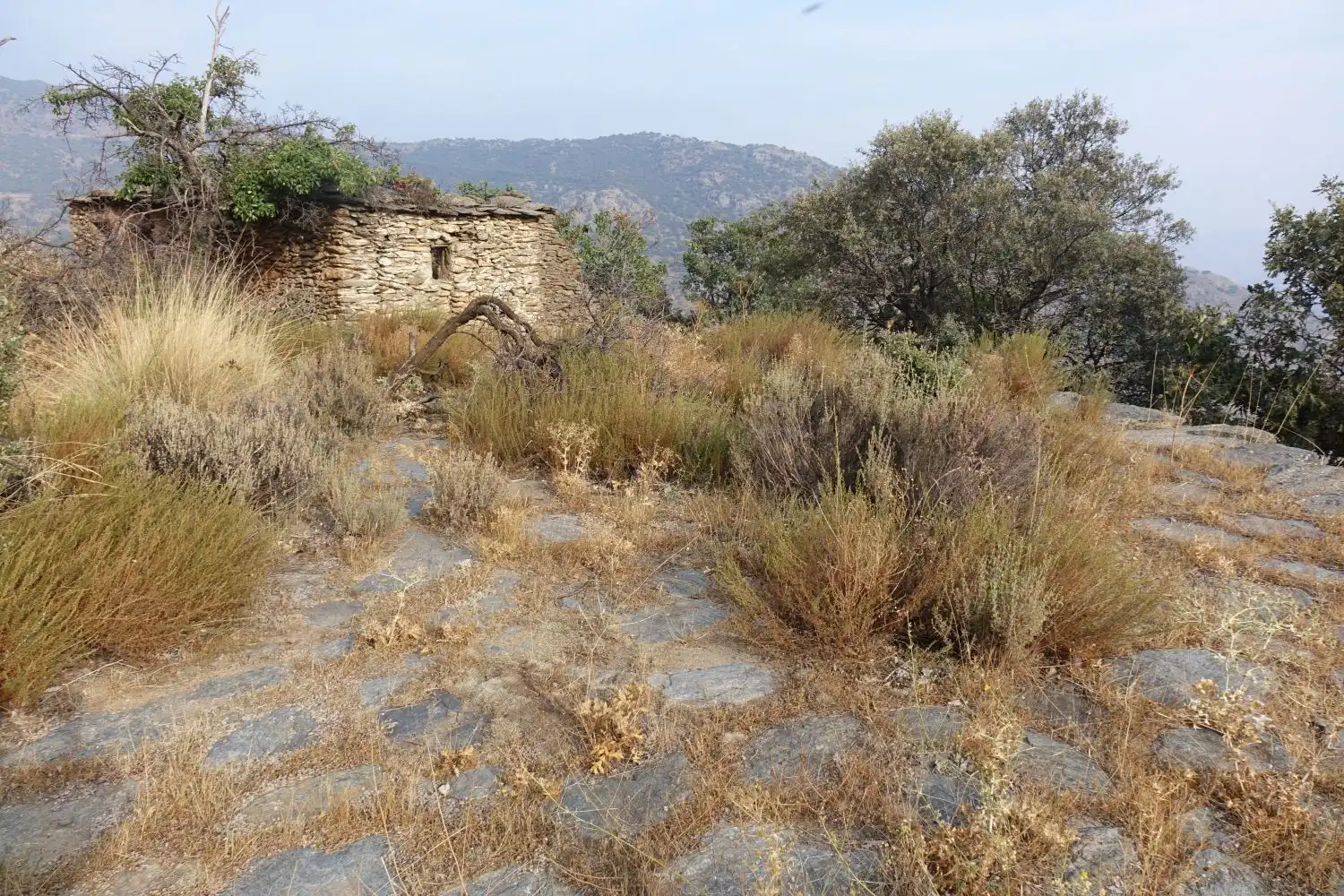Casa o xalet en venda en Pampaneira