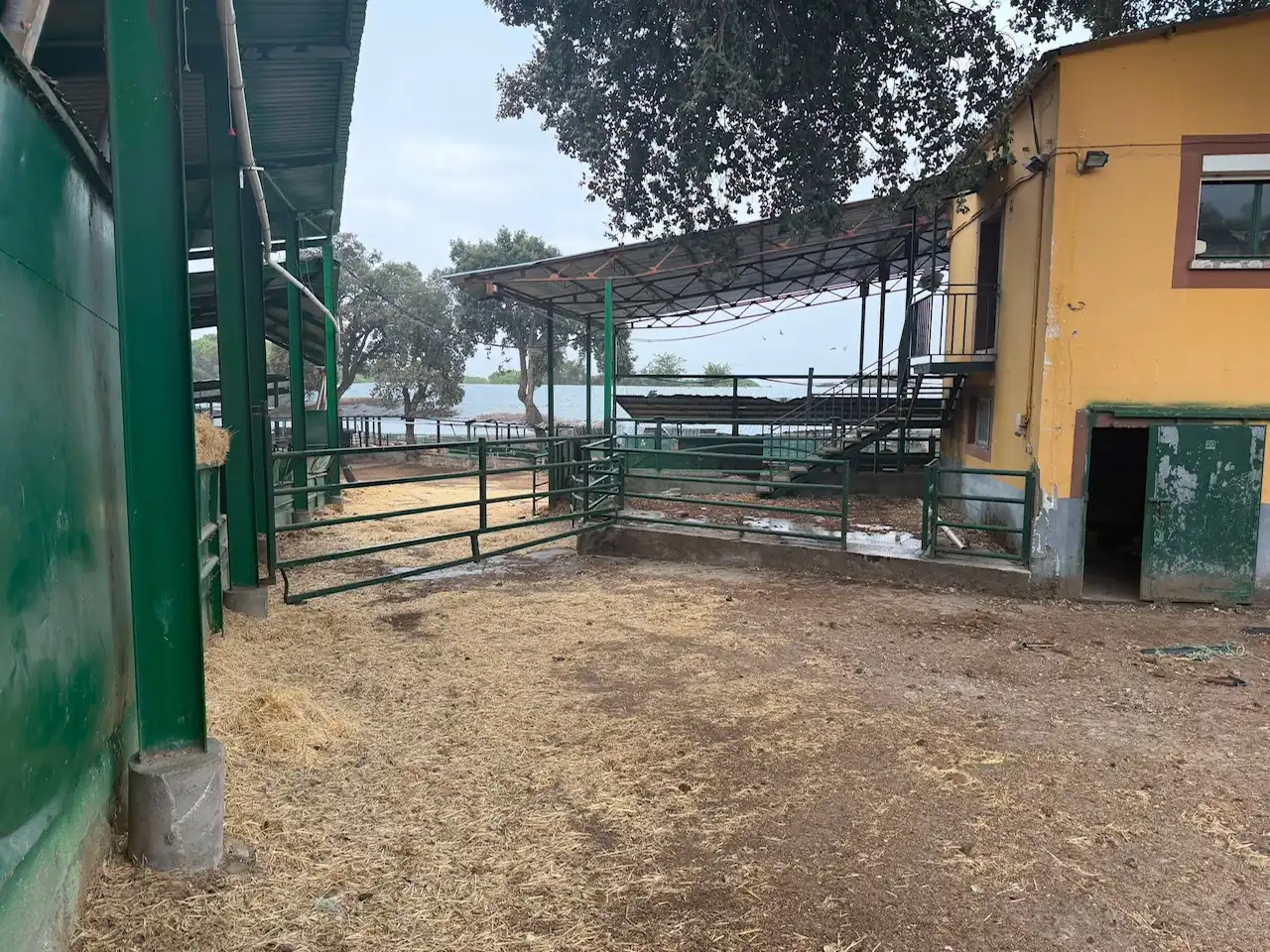 Aparcament de Nau industrial en venda en Piedralaves