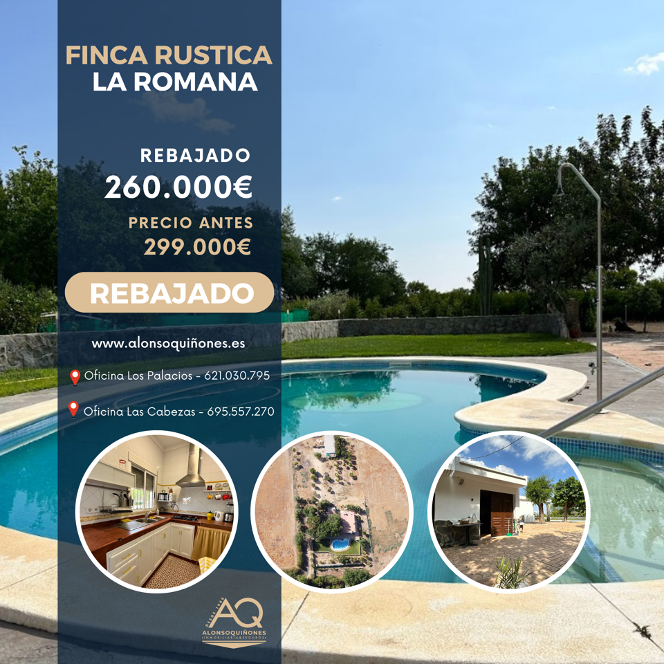 Vista exterior de Finca rústica en venda en Los Palacios y Villafranca amb Piscina comunitària