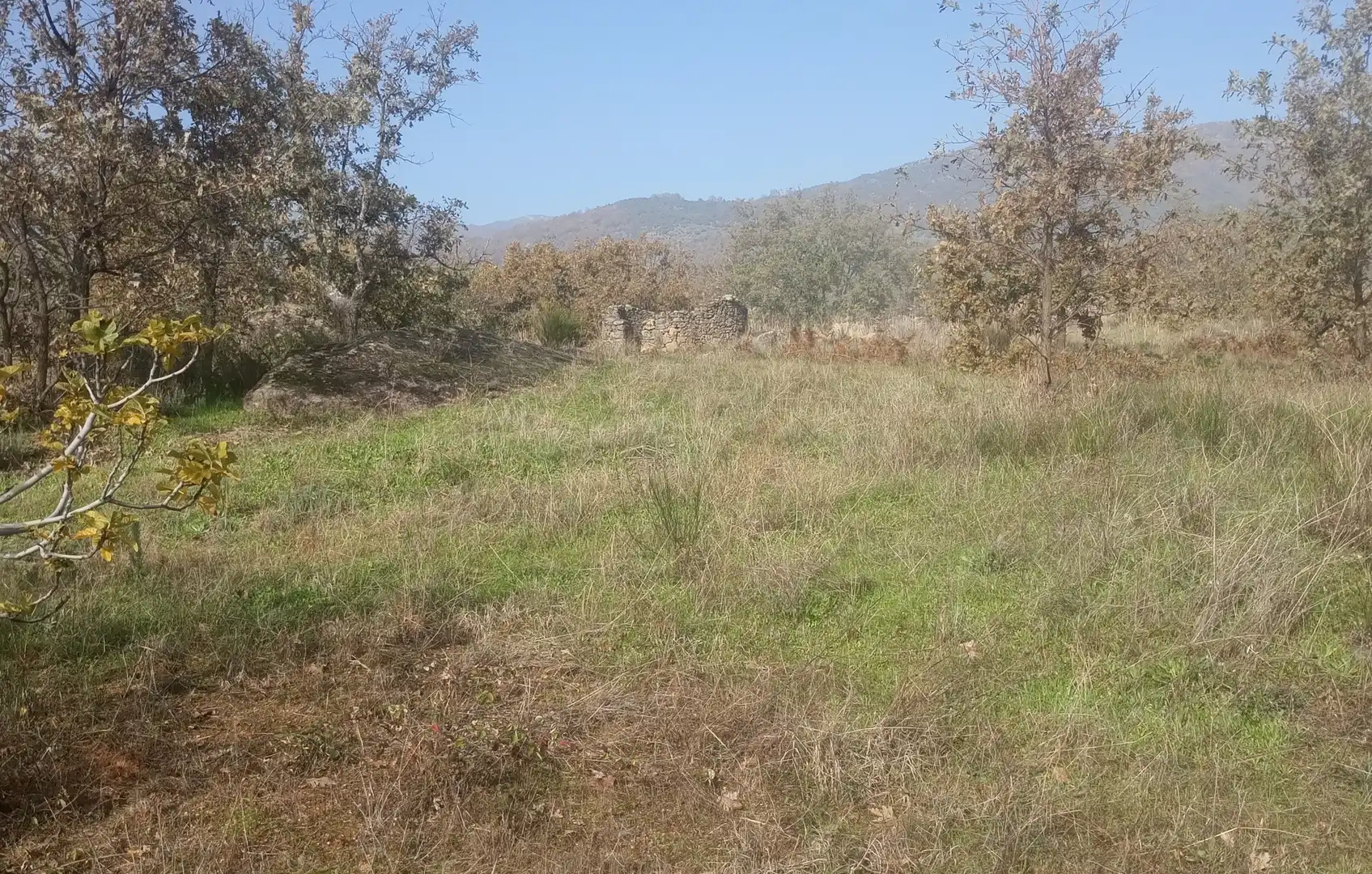 Terreni e lotti in vendita a Viandar de la Vera, imagen 2