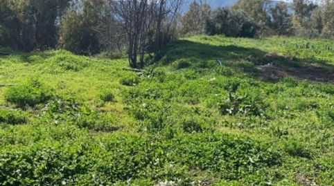 Finca Rústica en Lanjarón, immagine 4