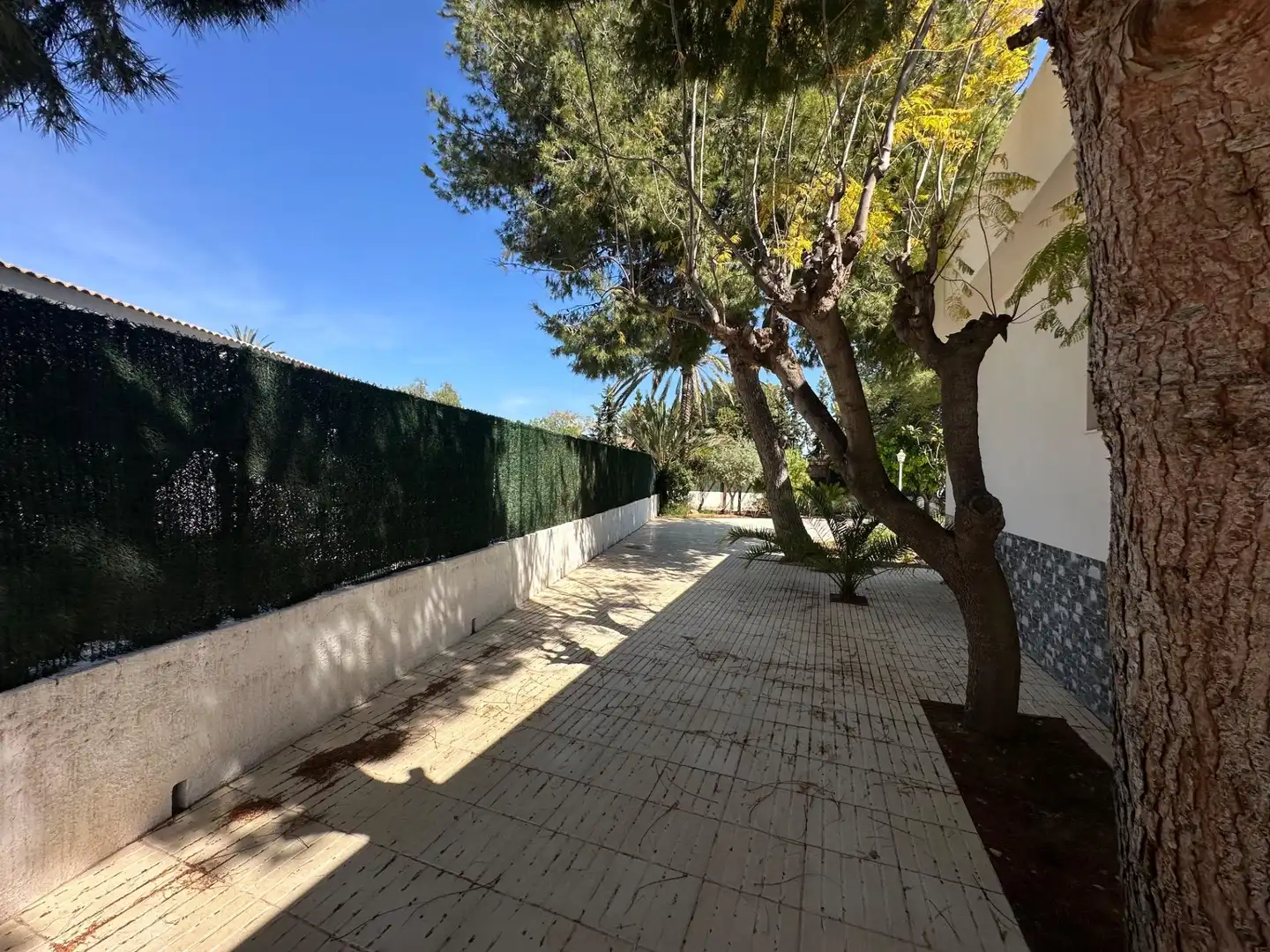 Garden of Houses for sale in San Vicente del Raspeig / Sant Vicent del Raspeig