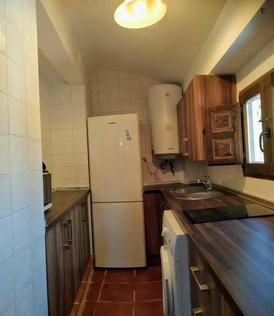 Apartments for rent in Barrio de Albaicín