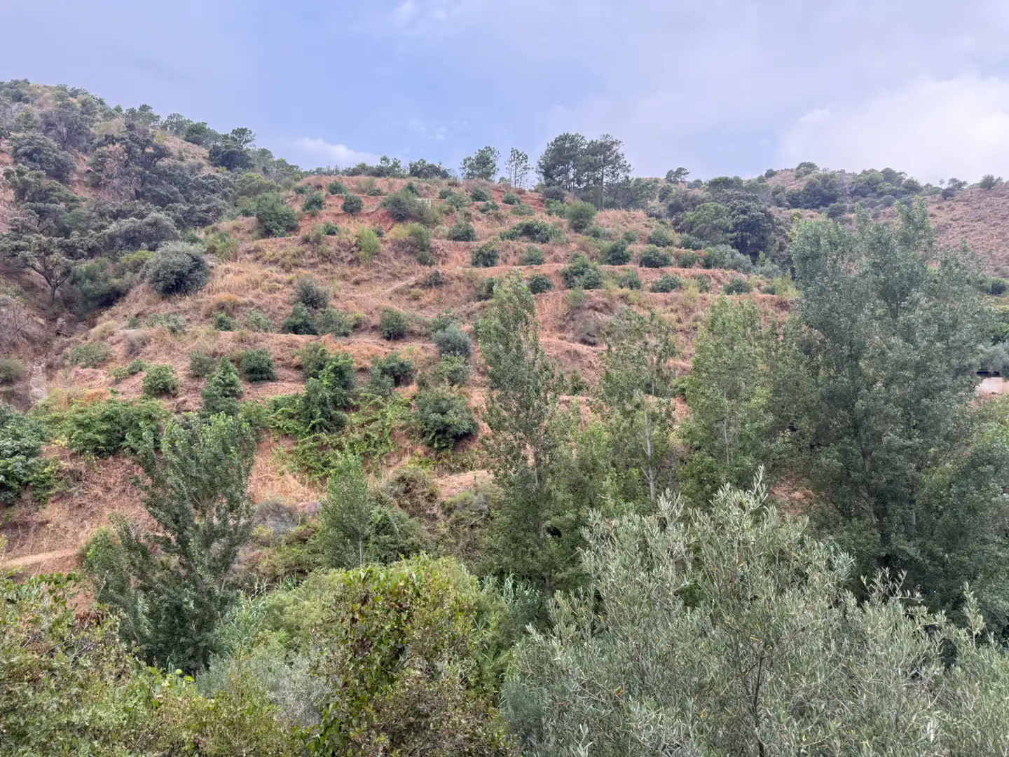 Terreni e lotti in vendita a Camino Río Seco 9, imagen 2