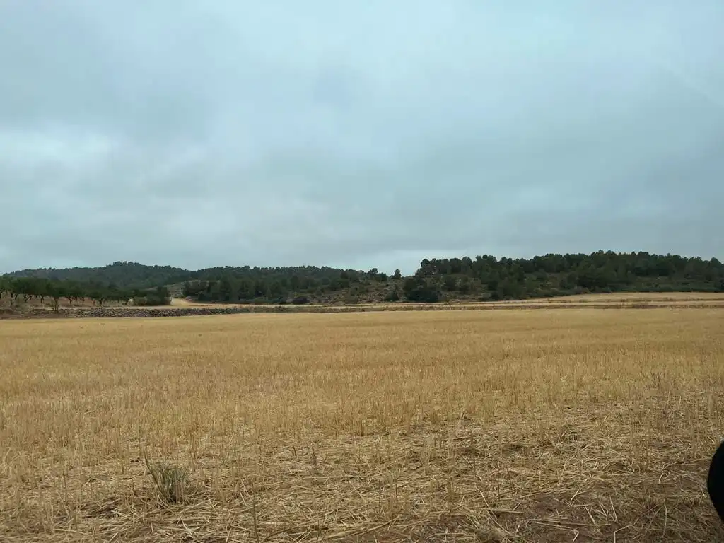 Grundstücke zum Verkauf in Peñas de San Pedro