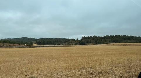 Photo 4 of Land for sale in Peñas de San Pedro, Albacete